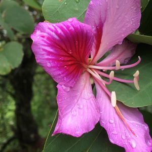 Meet your Posher, Francis